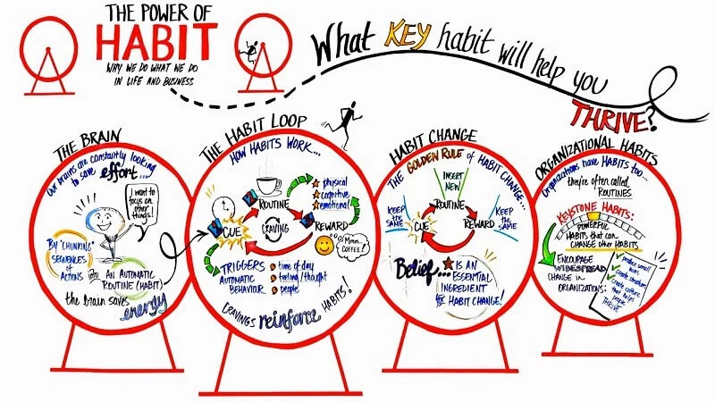 The Power of Habit PDF 1