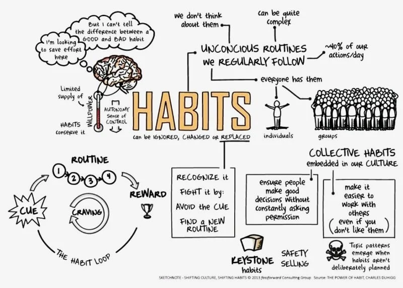 The Power of Habit PDF 2